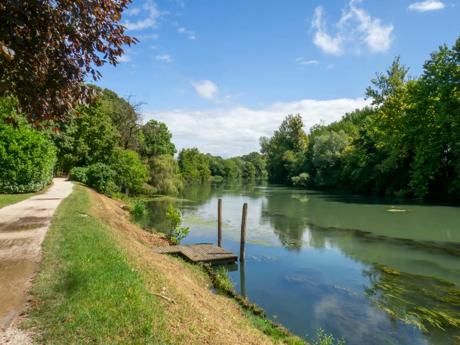 Il sentiero sterrato lungo il fiume Sile, con un piccolo pontile in legno sull'acqua